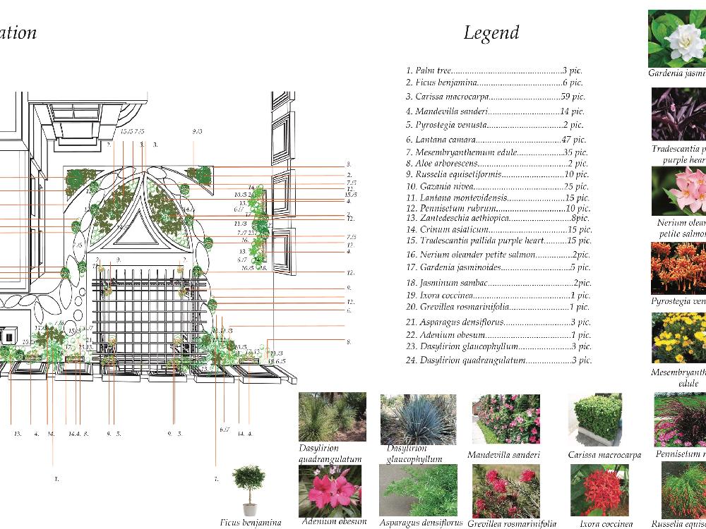 2D softscape planting plan and hardscape layout